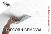 Central Florida Texture & Painting Popcorn Ceiling Removal Winter Haven Fl