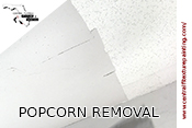 Central Florida Texture & Painting Popcorn Ceiling Removal Winter Haven Fl