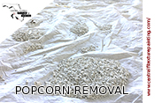 Central Florida Texture & Painting Popcorn Ceiling Removal Winter Haven Fl