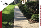 Central Florida Texture & Painting Pressure Washing Winter Haven Fl